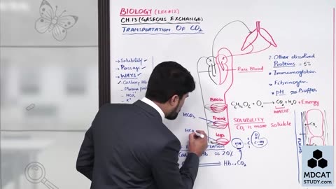 LEC#12 TRANSPORT OF CO2