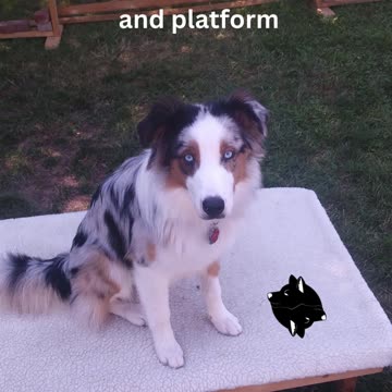 Cable's training day cut 8