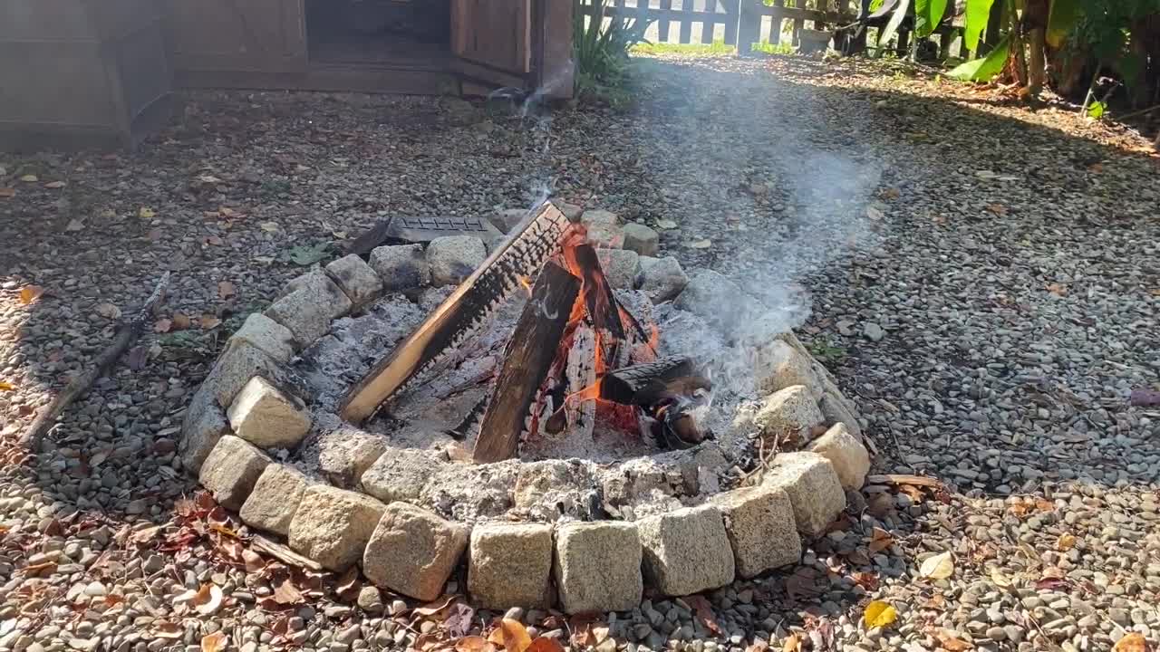 Fireside Chat With My Doggie Otto: Jesus is The Healer