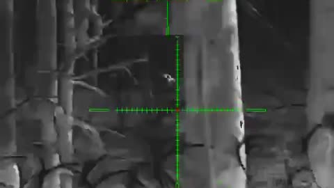 New Footage from Ukrainian Snipers