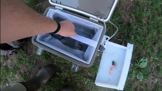 TWO FLATHEADS, One Night! SURPRISE! James River CATFISHING