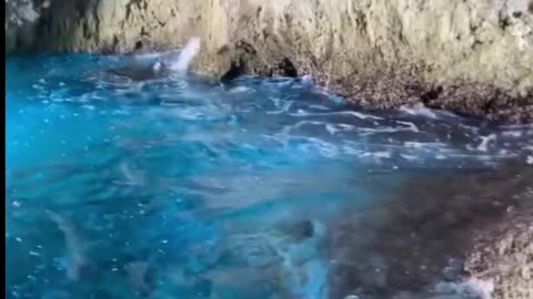 You fascinate me like the sea!