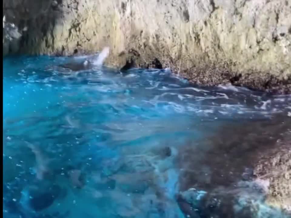 You fascinate me like the sea!