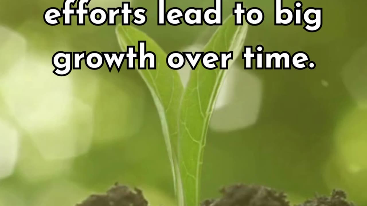 Tiny seeds of effort today can grow into forests of success. Keep planting.🌱➡🌳 #growth #letslife