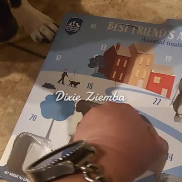 7 days down, 18 to go! Pepper is having a paw-some time with her Christmas countdown