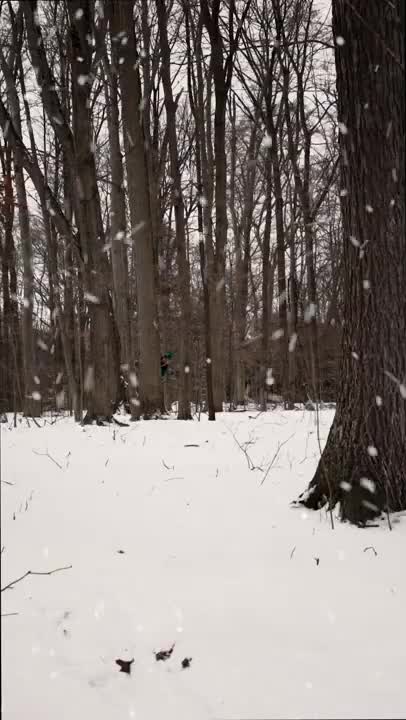 St. Patrick's Day Rainbow Fragrance Oil by Natures Garden