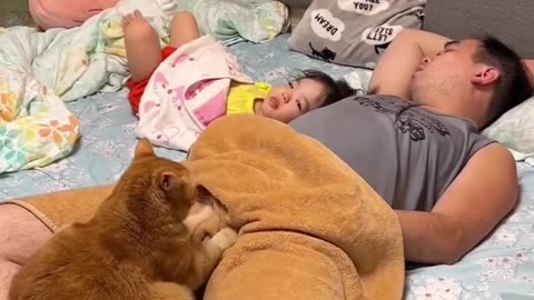Extremly funny animals, Funny animals Hub, animals funny , cool funny animals 😆, funny animals life