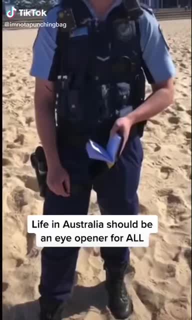 What stupidity looks like