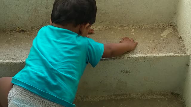 Toddler Climbing Stairs