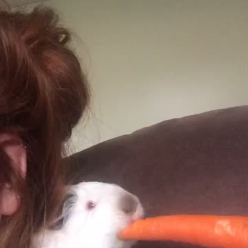 My grand daughter with her pet