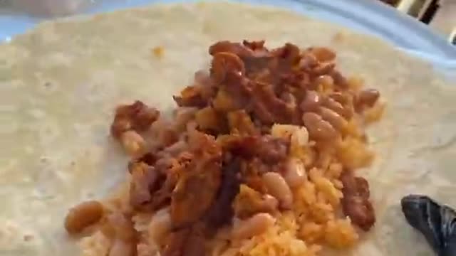 Massive VEGAN burrito