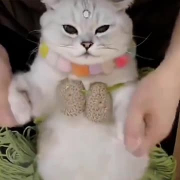 RESPECT 💯🤯🤯