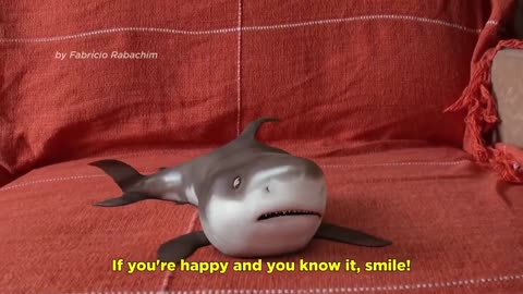 Funny Shark Cute Baby Animals Reaction 2021