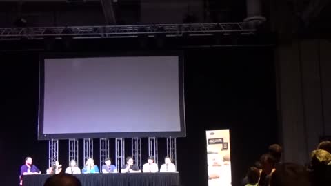 Dragonball Z Q&A Panel