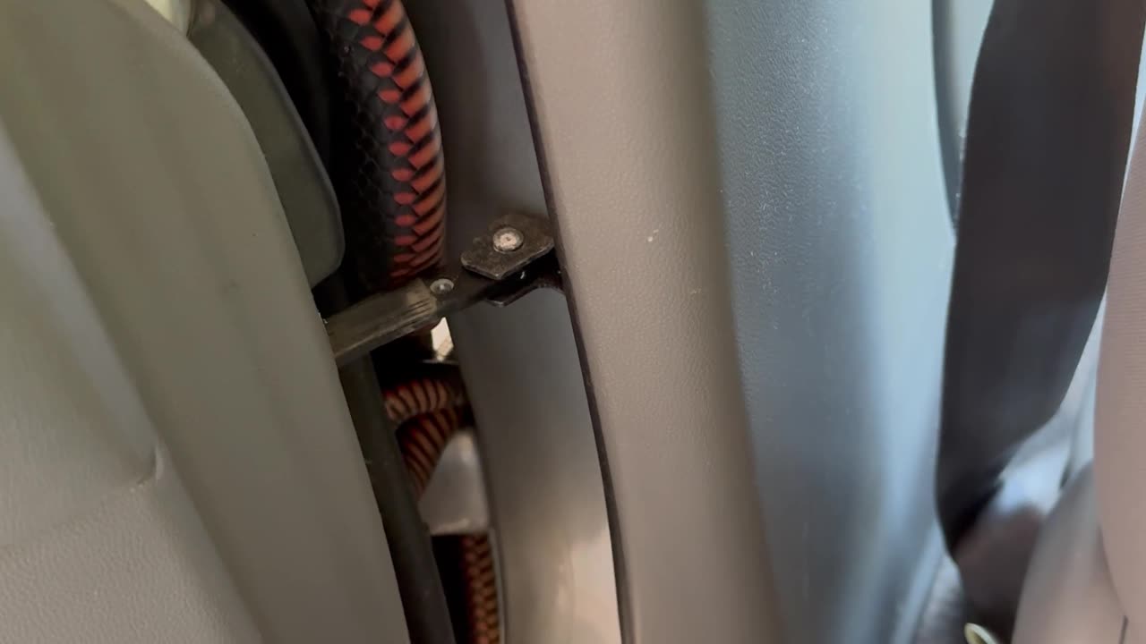 Red-Bellied Black Snake Hidden in Car Door