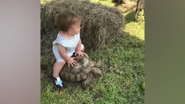Funny Baby At The Zoo LiVe Funny Pets