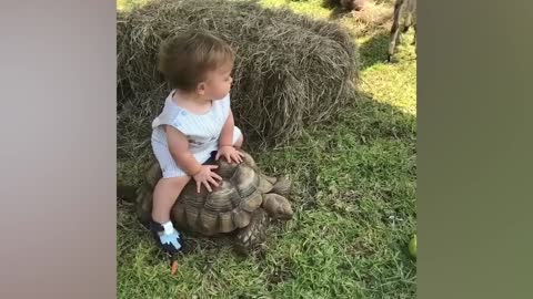 Funny Baby At The Zoo LiVe Funny Pets