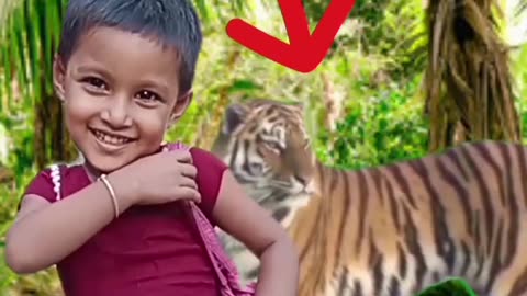 Baby and Tiger vairal shorts video#shorts #funnyvideo #viral