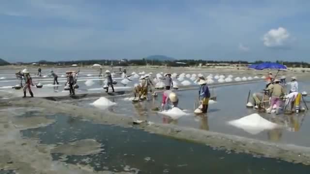 ruong muoi bac lieu