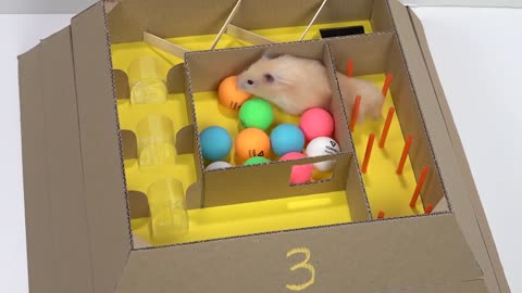 My Funny Pet Hamster in 6-Level Pyramid Maze