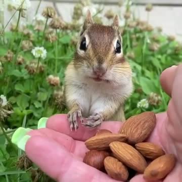 Hoje e dia de esquecer a dieta e chutar o balde