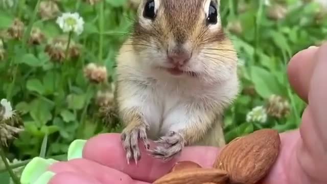 Hoje e dia de esquecer a dieta e chutar o balde