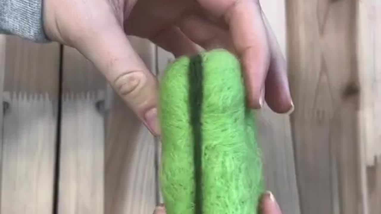 Cactus Felting Kit