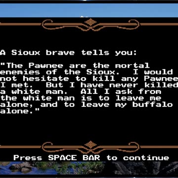 Sorry about the buffalo