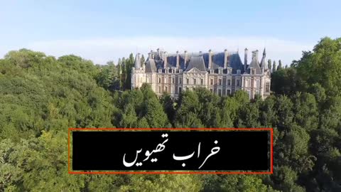 Poetry Status Whatsapp video #shorts