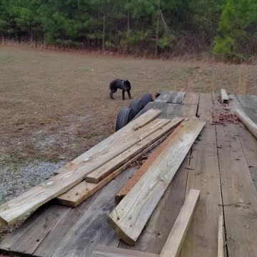 BlueBay hiding with Fish