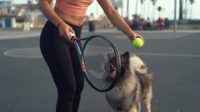 video woman playing her dog