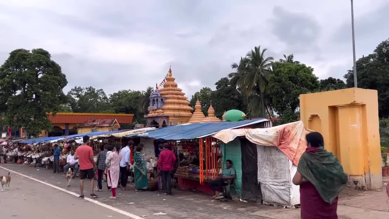 Aji Keounjhar Jungle Chhatu Pura Deshi Pura Mohu-6