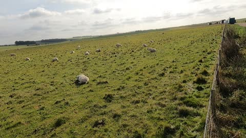 Stonehenge in the distance