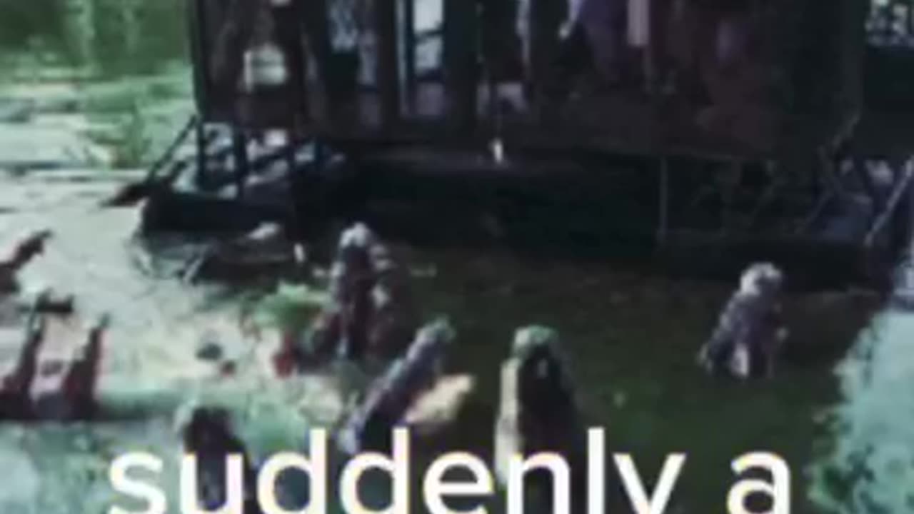 Moral of the story 🤣🤣