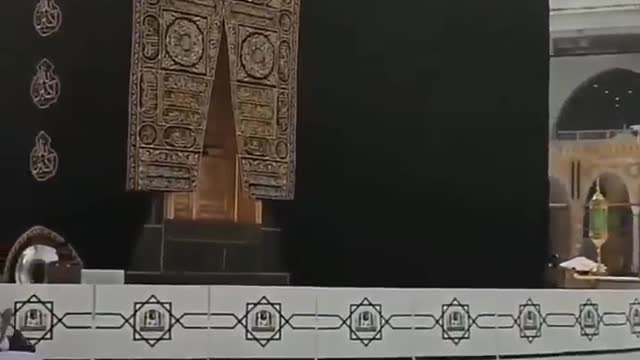 best video in the world