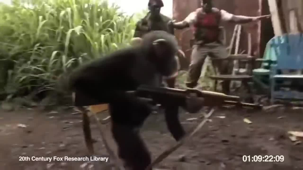 Life Could Be A Dream