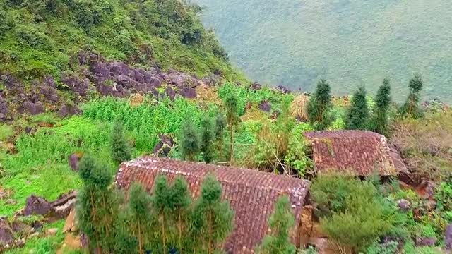 The Beauty of My Homeland