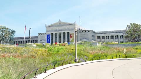 The Field Museum of Natural History Landscape Masterplan site