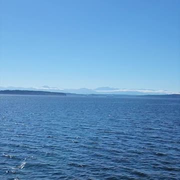 Superficially Faithful