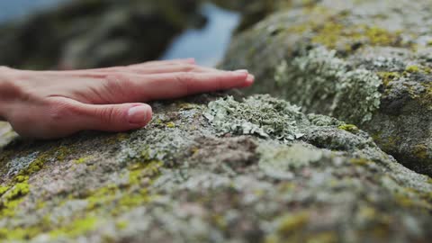 Hand Touching Mossy Stone