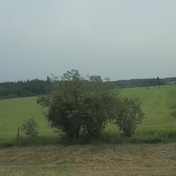 Beautiful Green Nature 😍