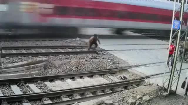 Railway dangerous accident 😱😱