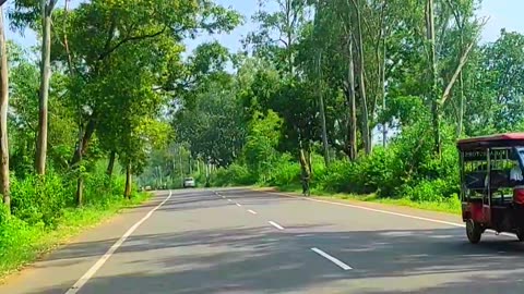 Beautyfull nature