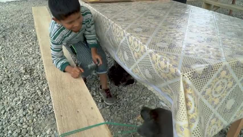 UN DIA DE UN NIÑO POBRE CON SU PERRO