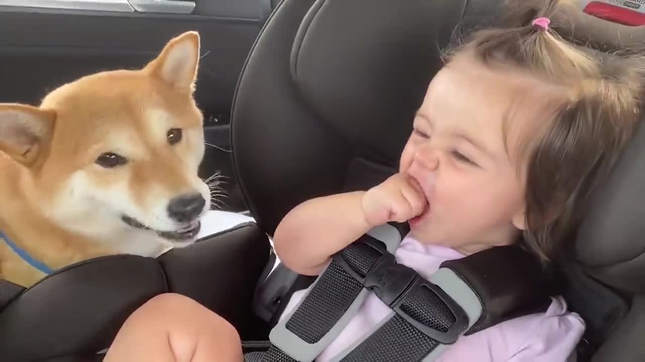 Lovely Babies Playing With Dogs!