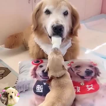 Awesome husband 😍