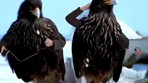 Animals with hand funny videos