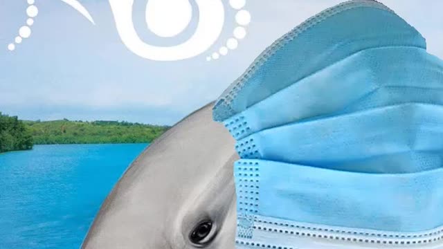 Flipper says wear a mask!