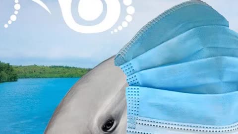 Flipper says wear a mask!