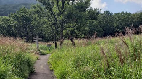 Hike on and around Mt. Kujyu Volcano, Oita Japan